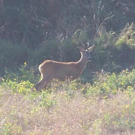Pokoje Goscinne Na Skarpie Homestay
